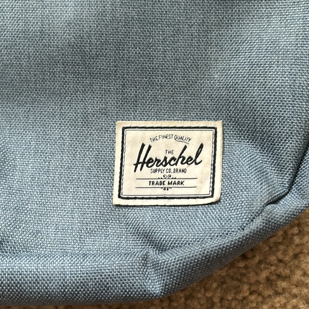 Hershel Hip Pack - image 2